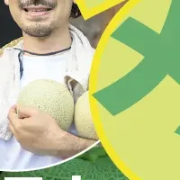 深作農園メロン特集