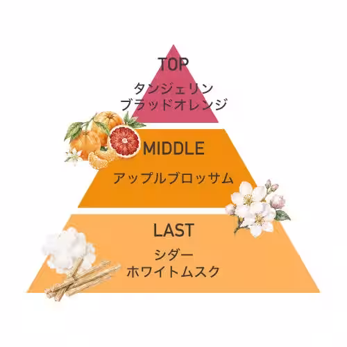 画像14