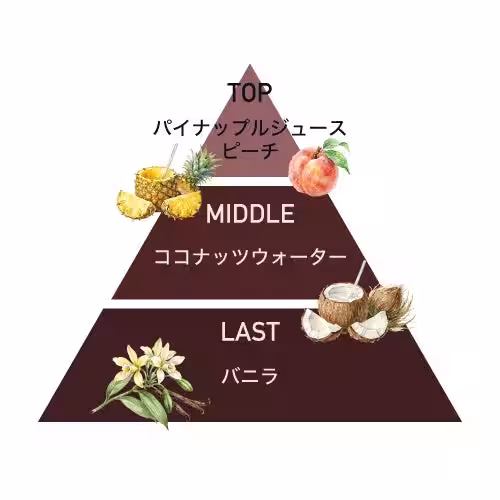 画像15