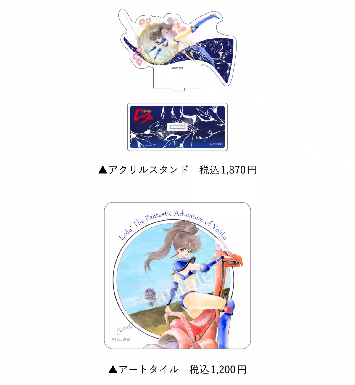 画像8