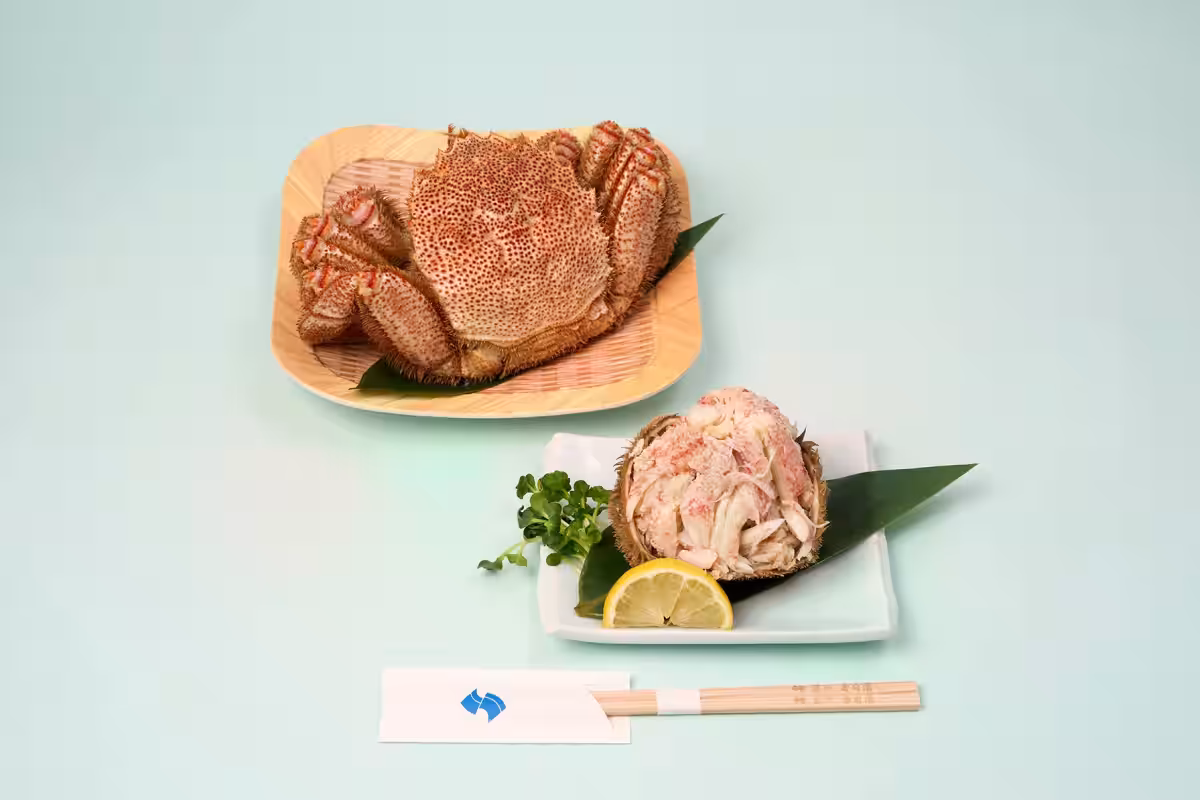 画像11