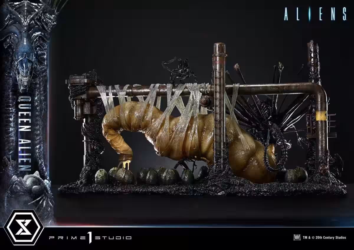 画像11