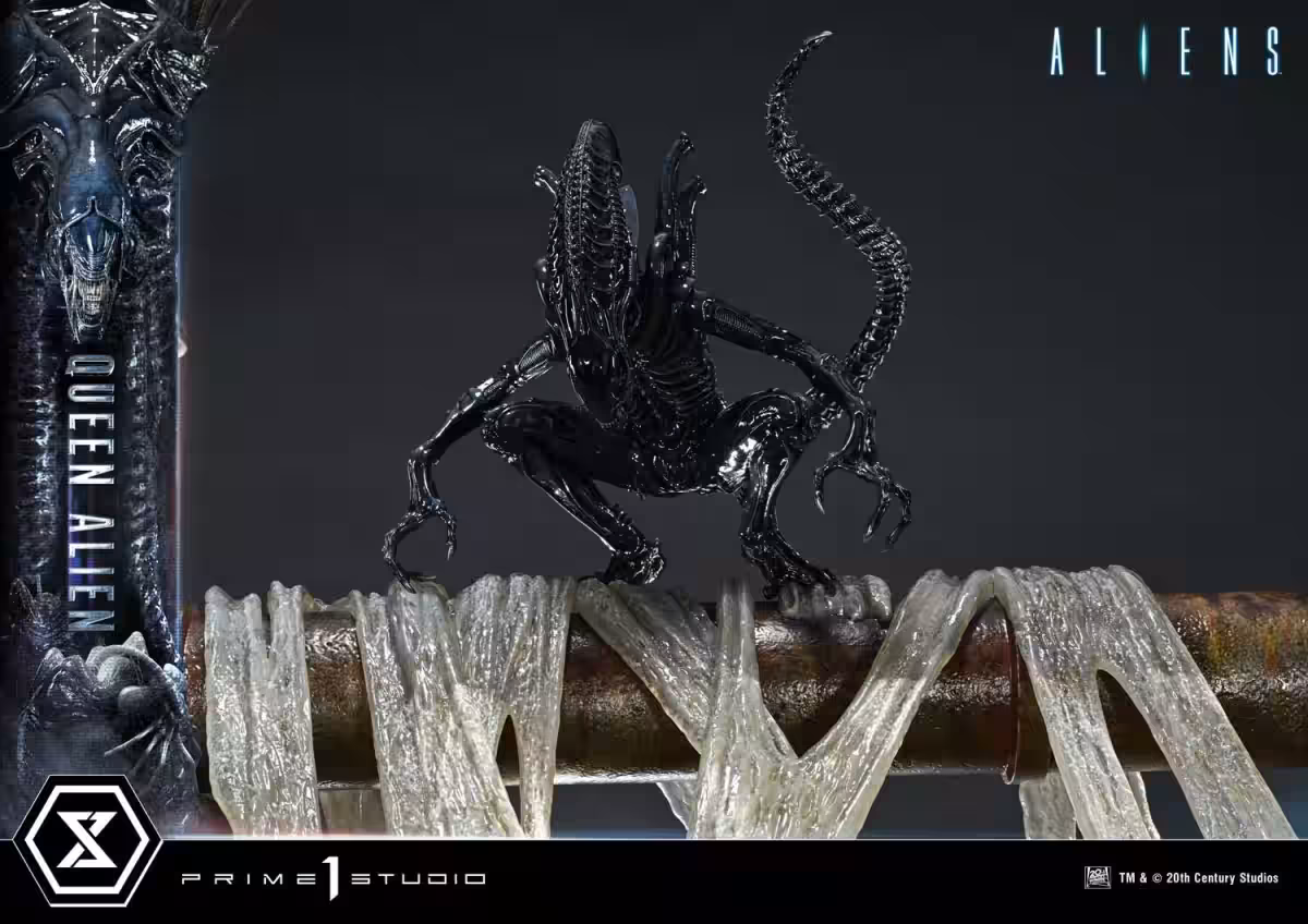 画像14