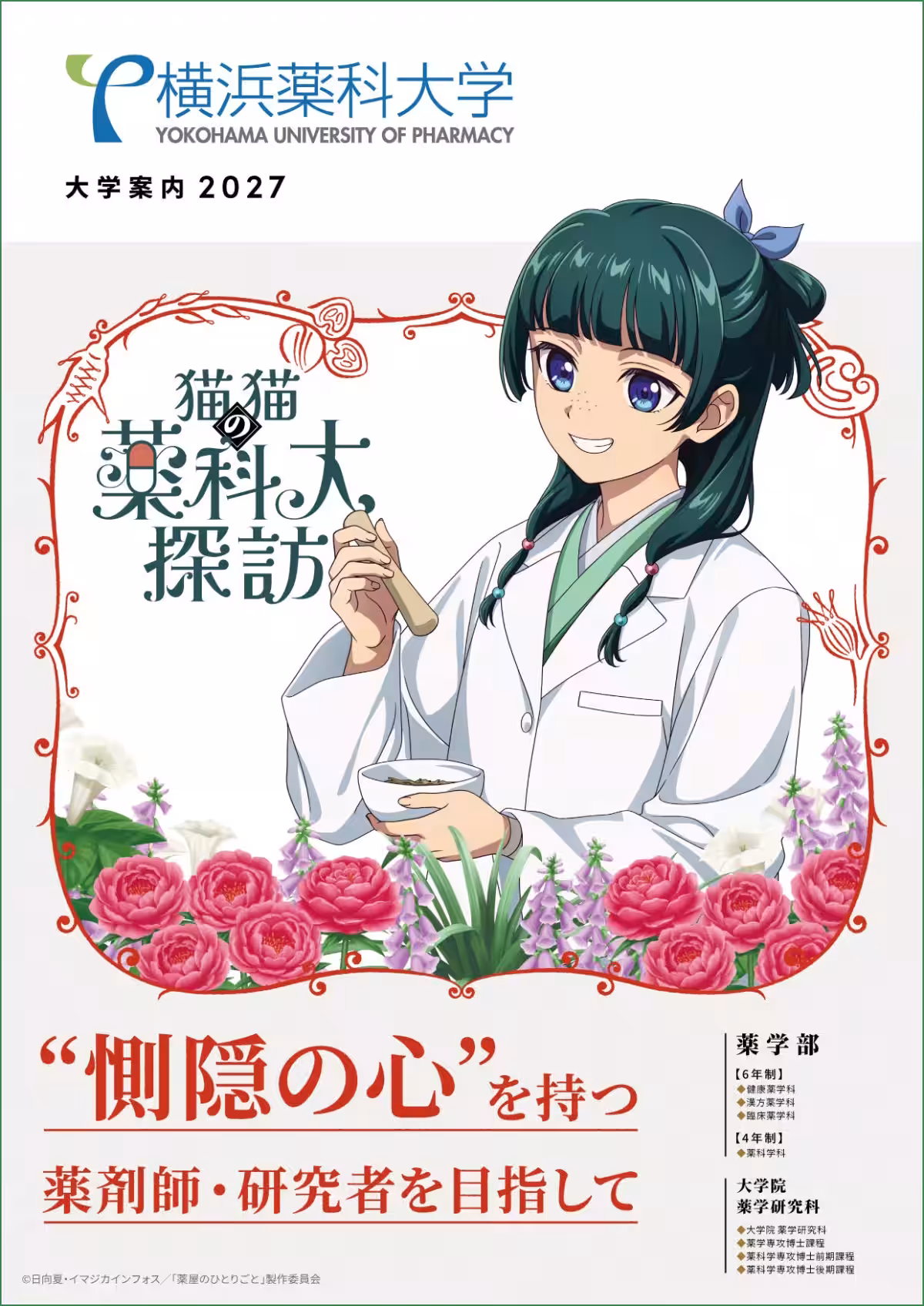 画像12