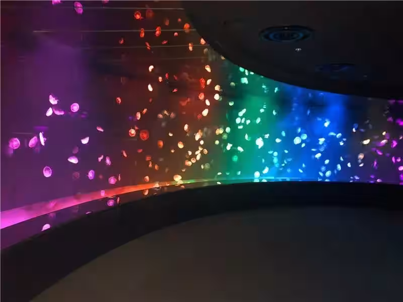 画像8