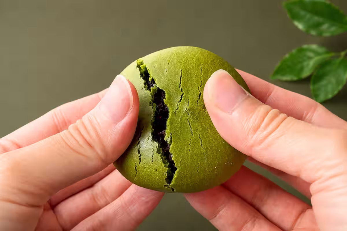 画像5