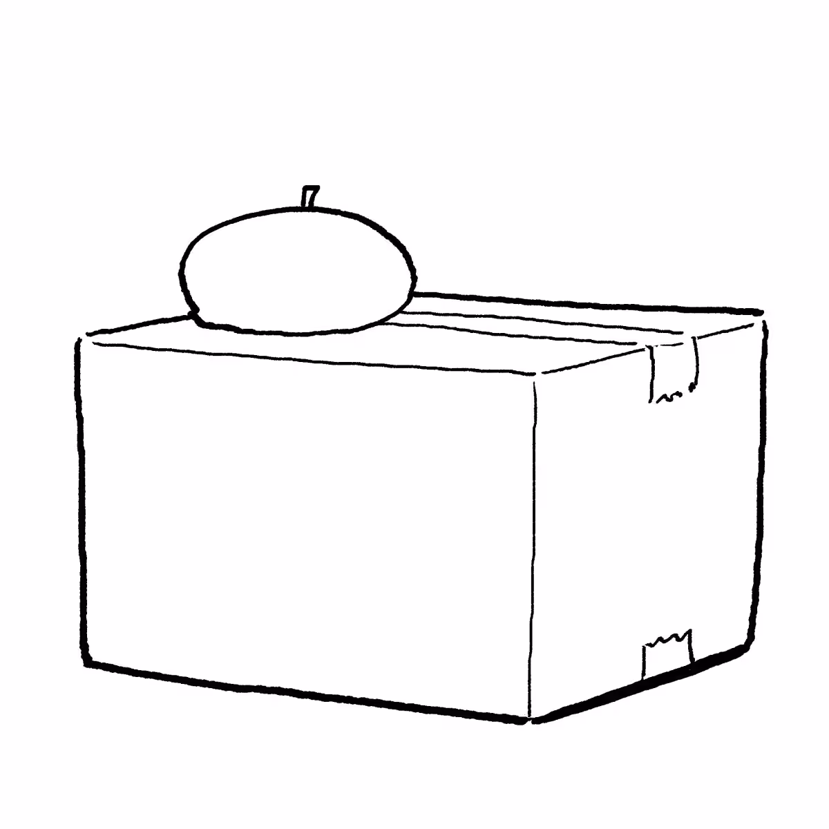 画像7