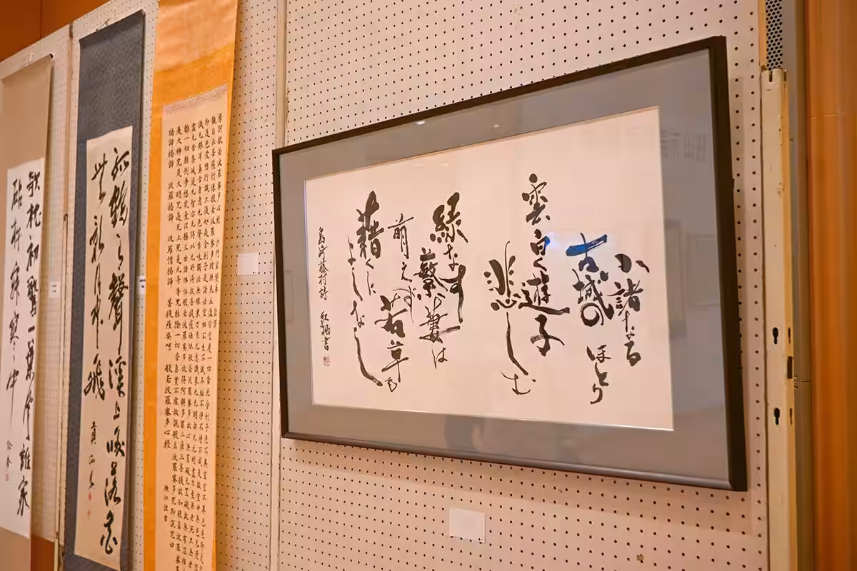 画像7
