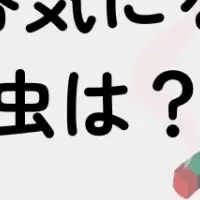 夏の虫よけ対策
