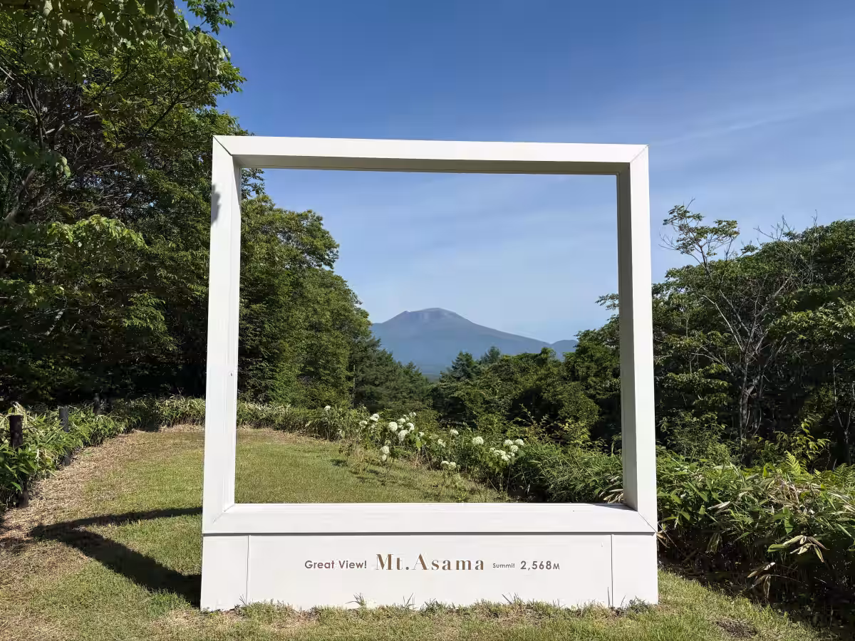 画像7