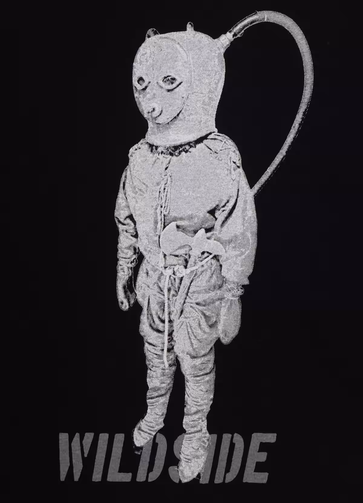 画像7