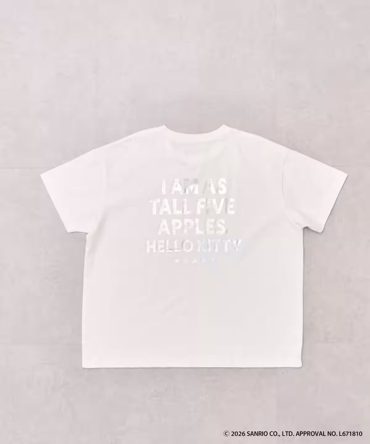 画像17