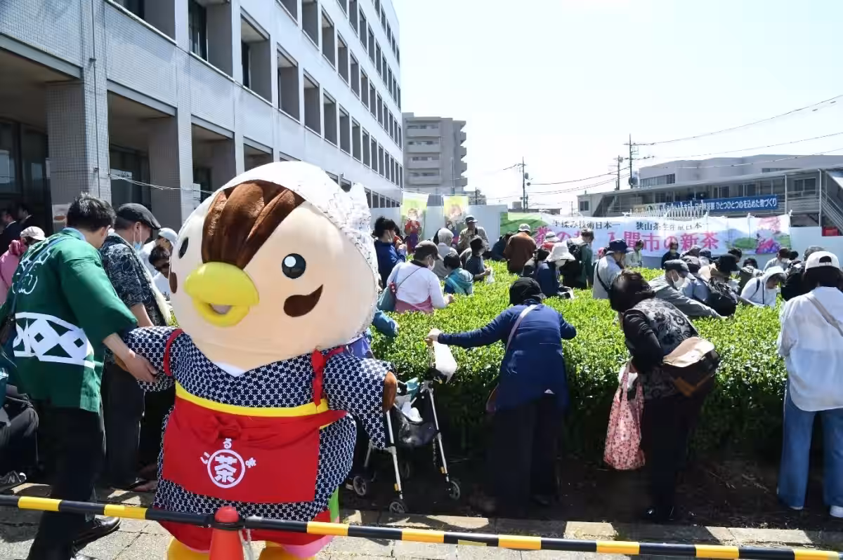 画像8
