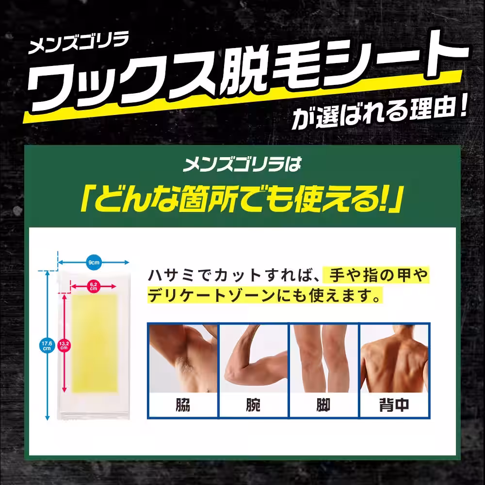 画像9