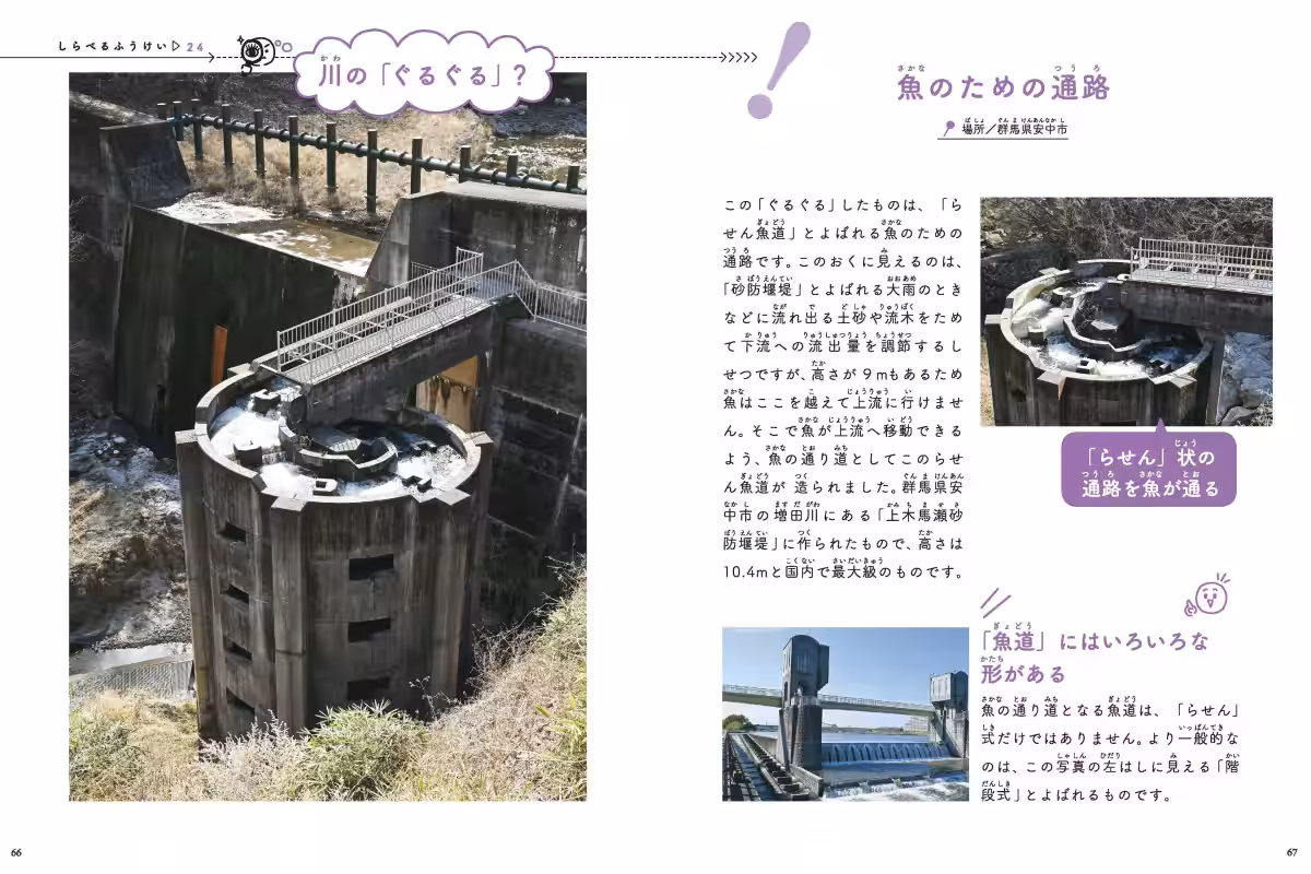 画像7