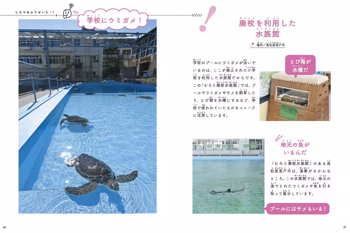 画像5