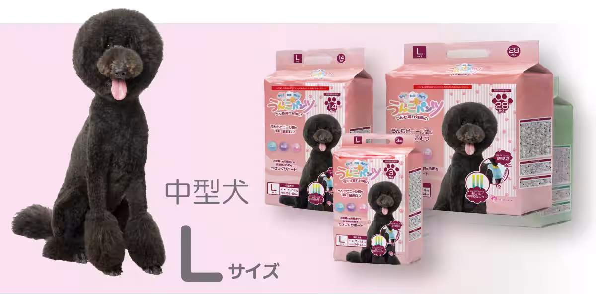 画像11