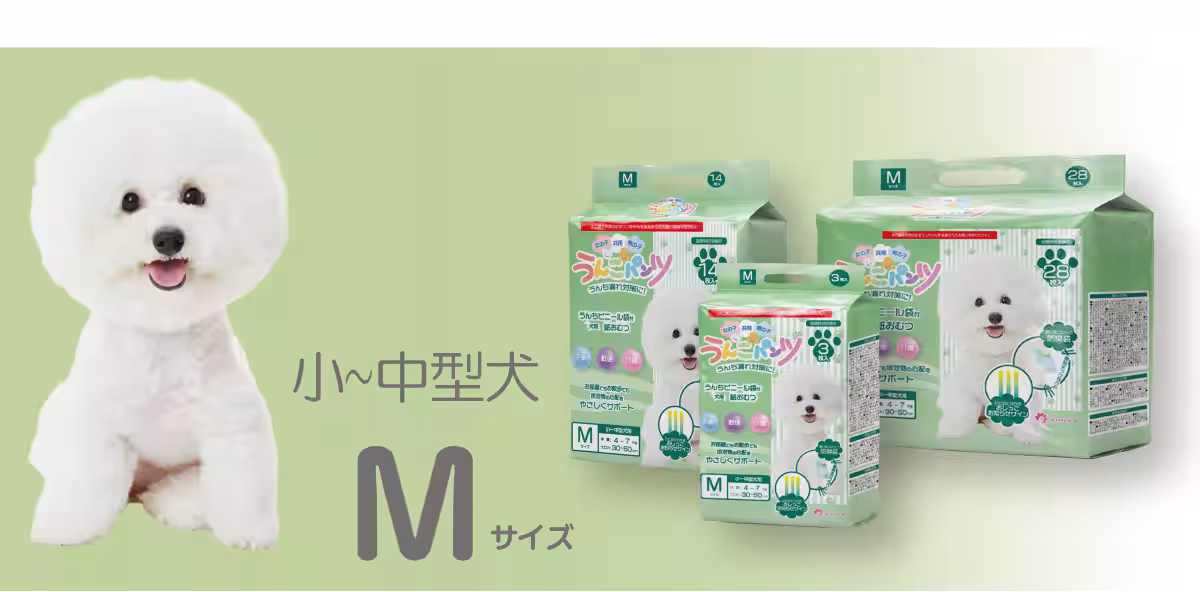 画像10