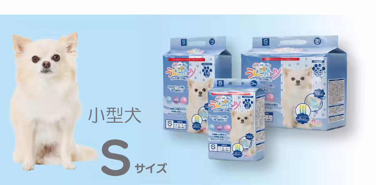 画像9
