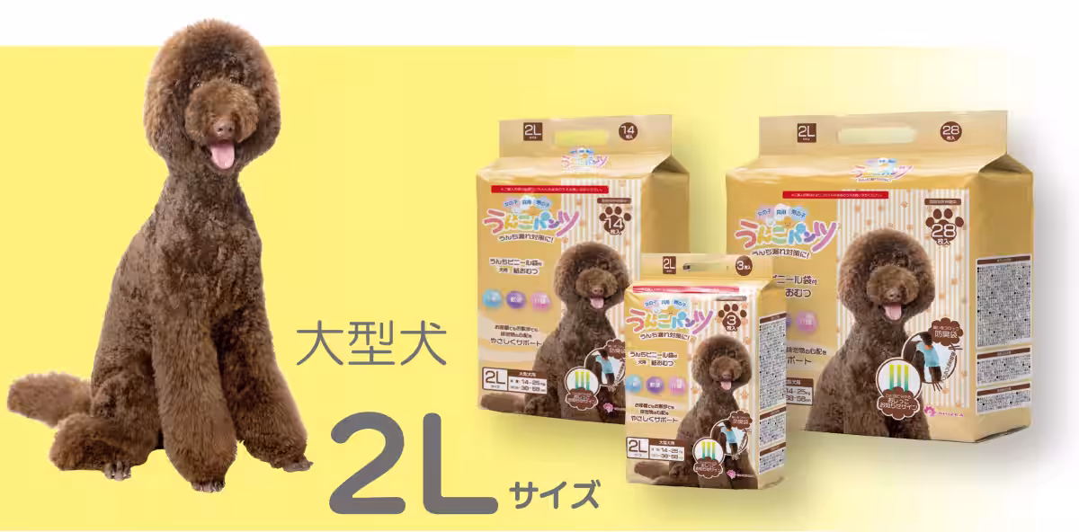 画像12