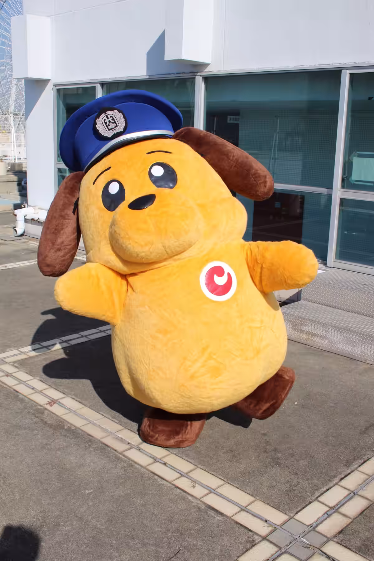 画像13