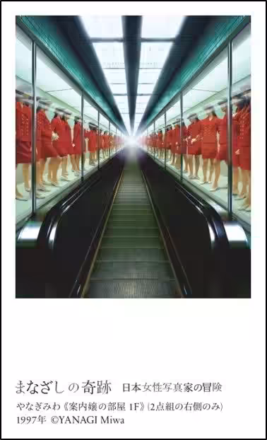 画像10