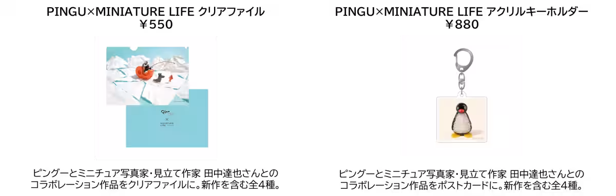 画像9