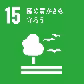 画像12