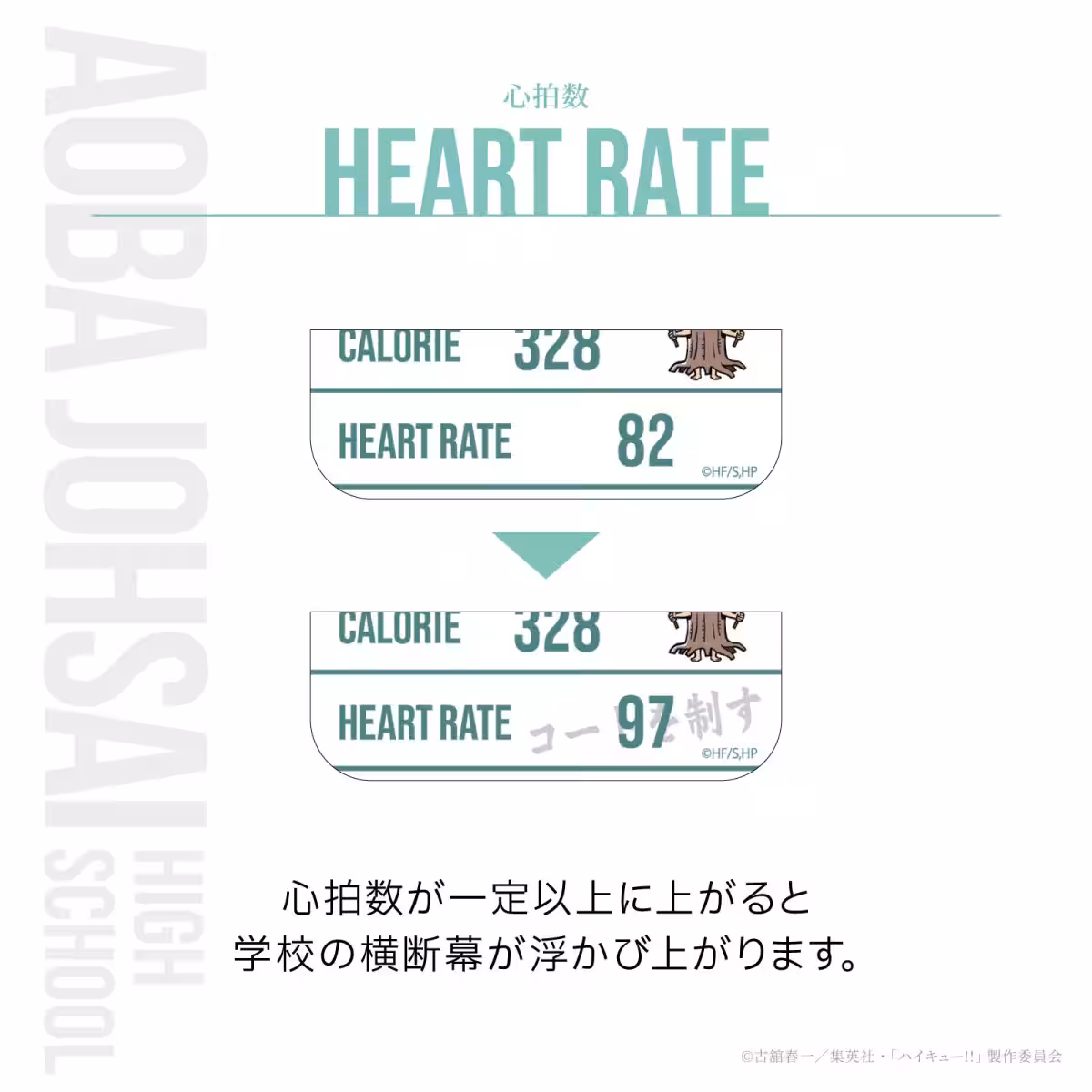 画像17