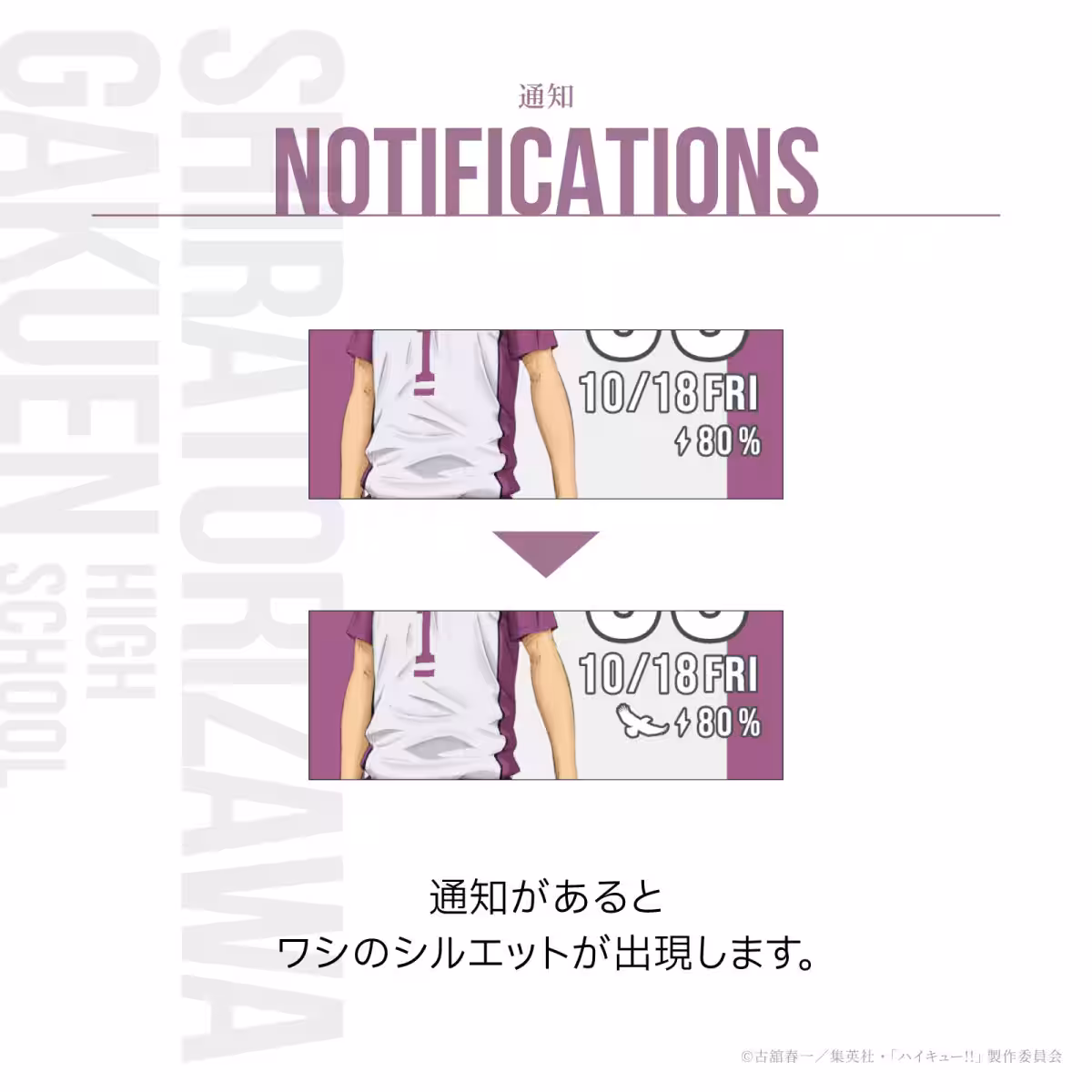 画像24