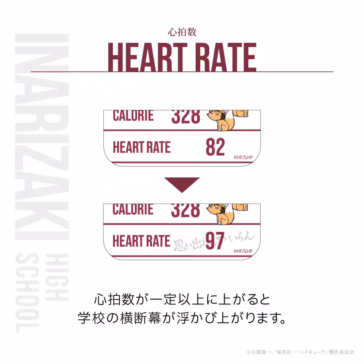 画像27