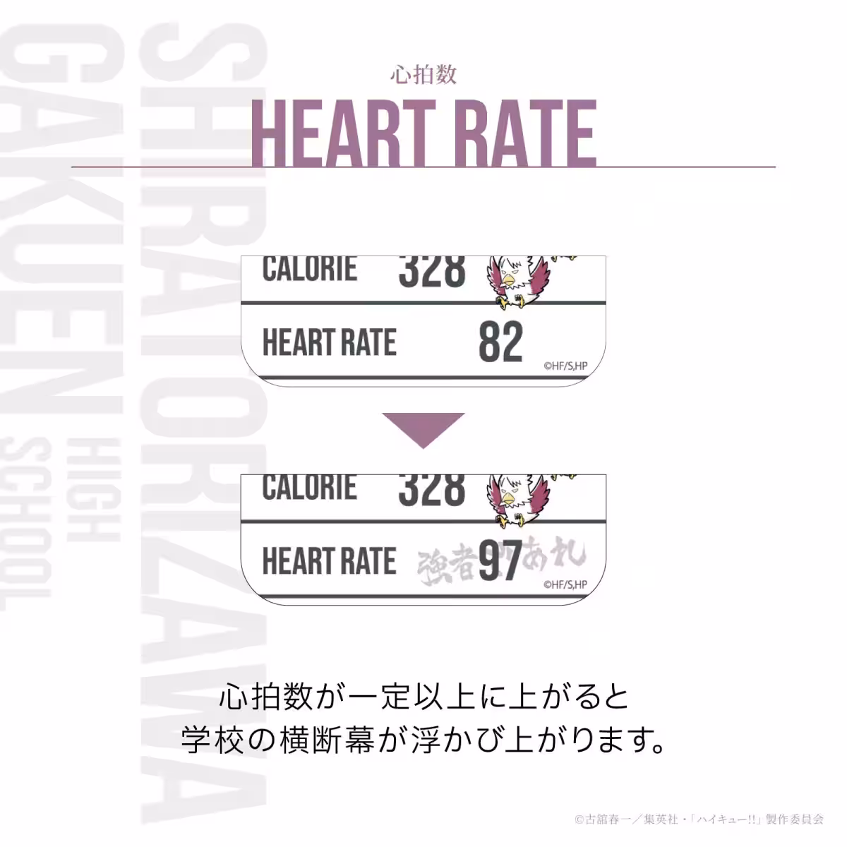 画像22