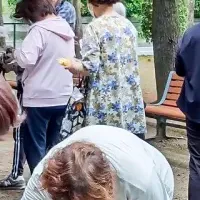 印西市の移動スーパー