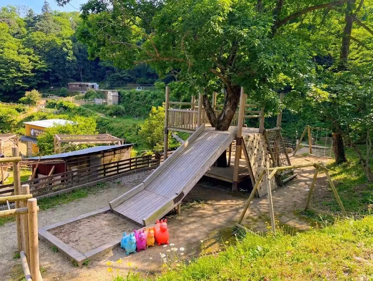 画像9