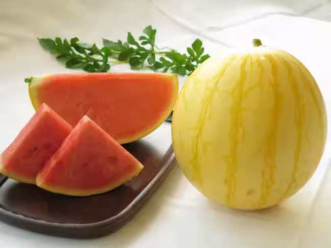画像26