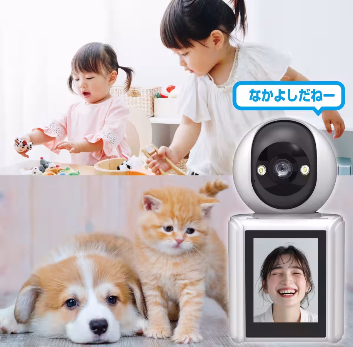画像9
