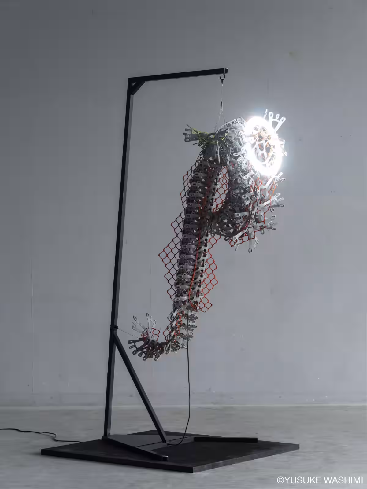 画像10