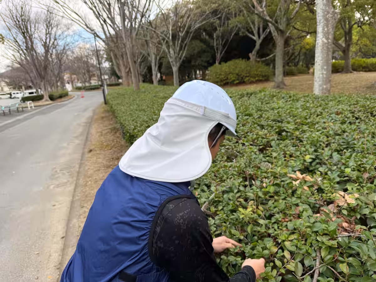 画像5