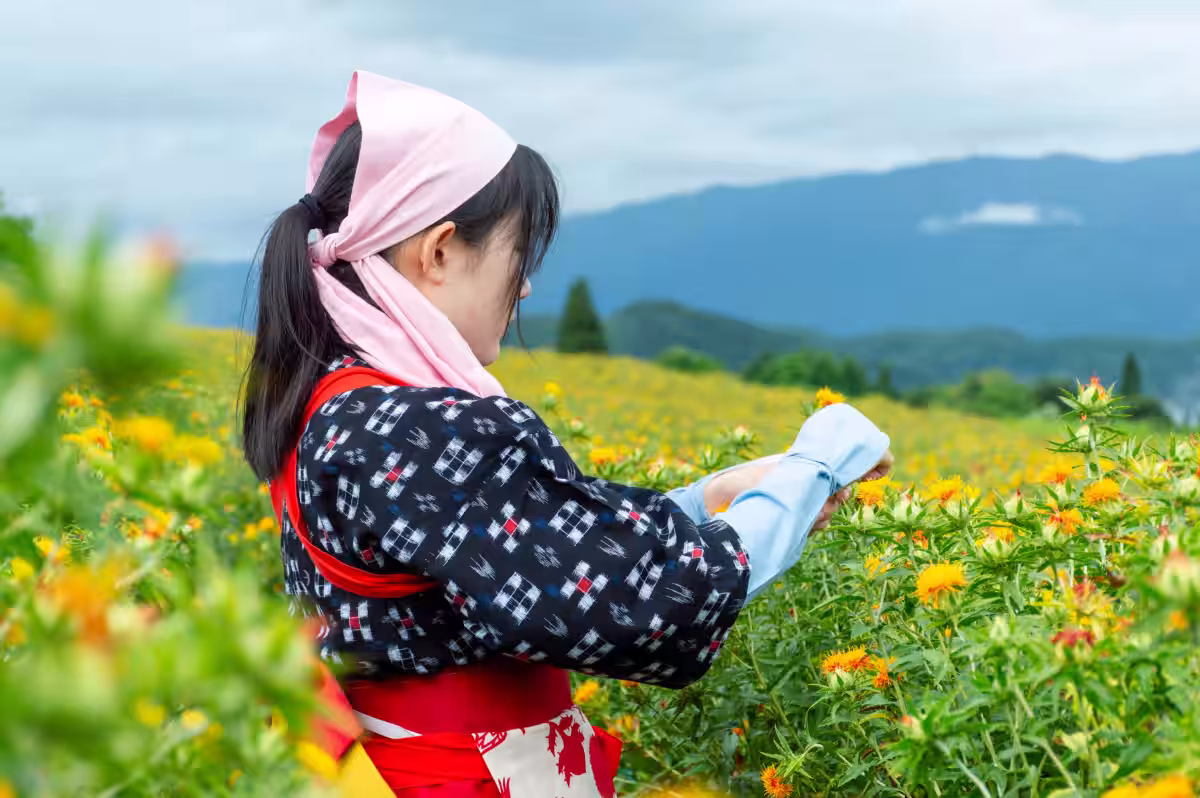 画像8