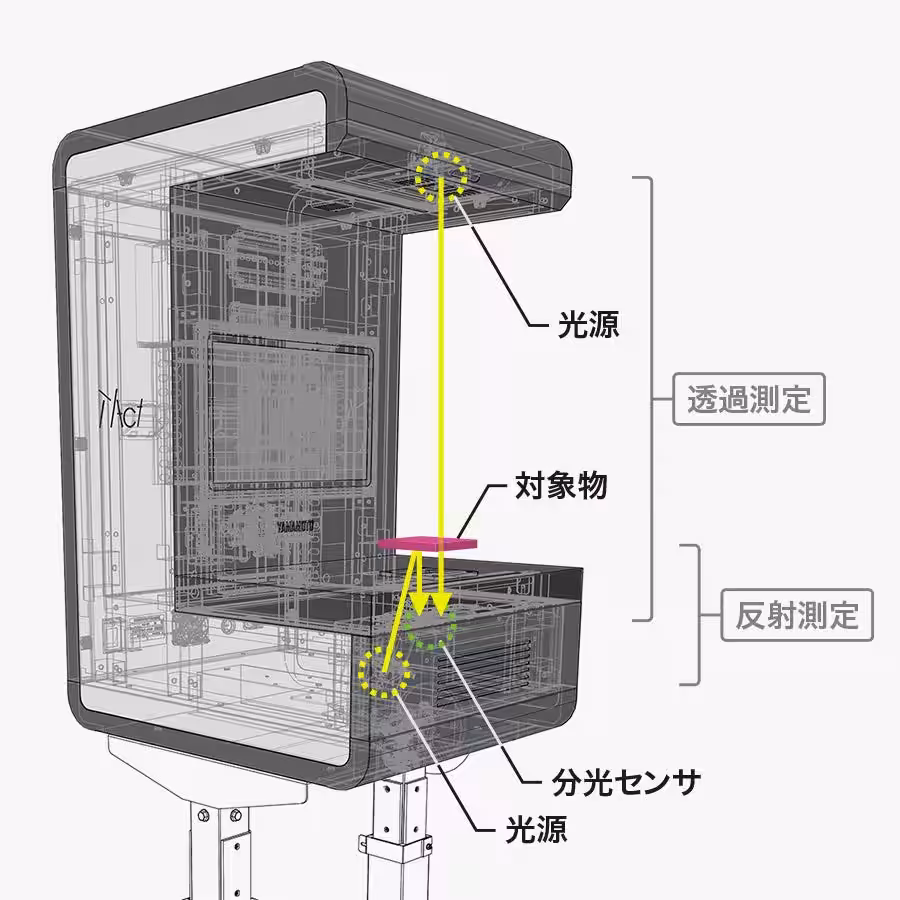画像7
