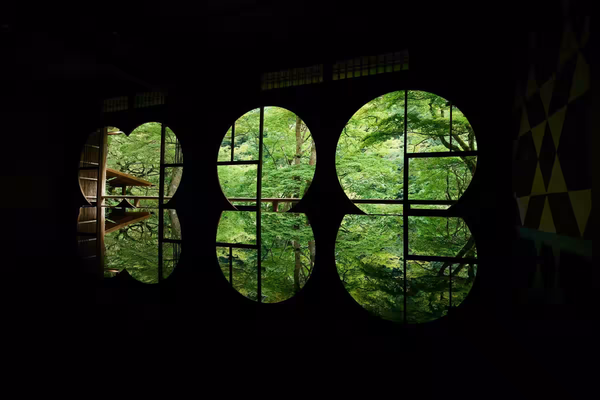 画像8
