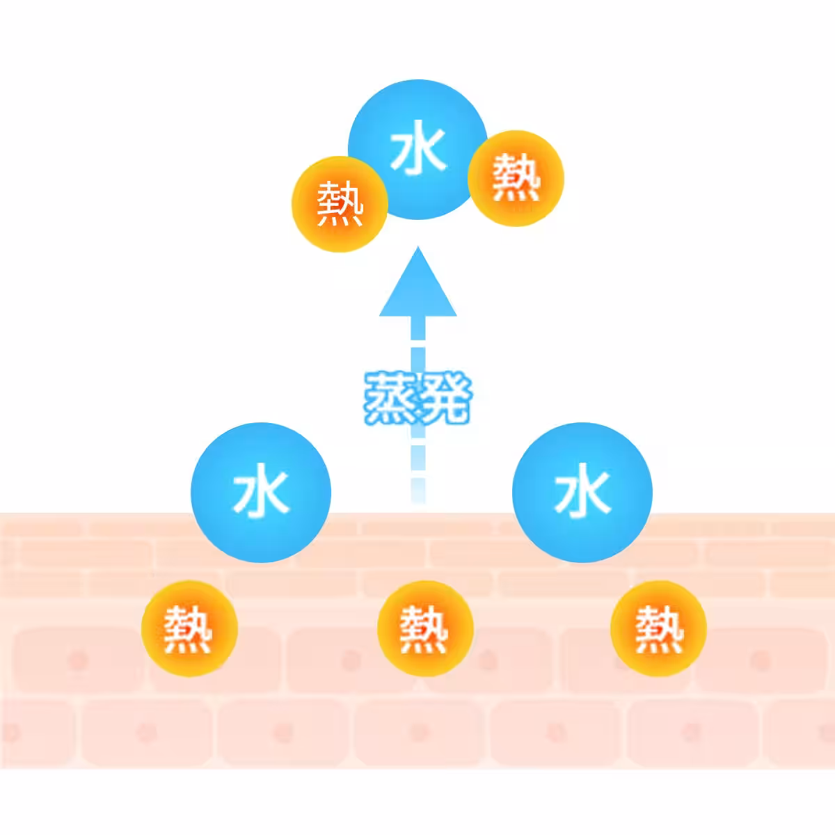 画像13