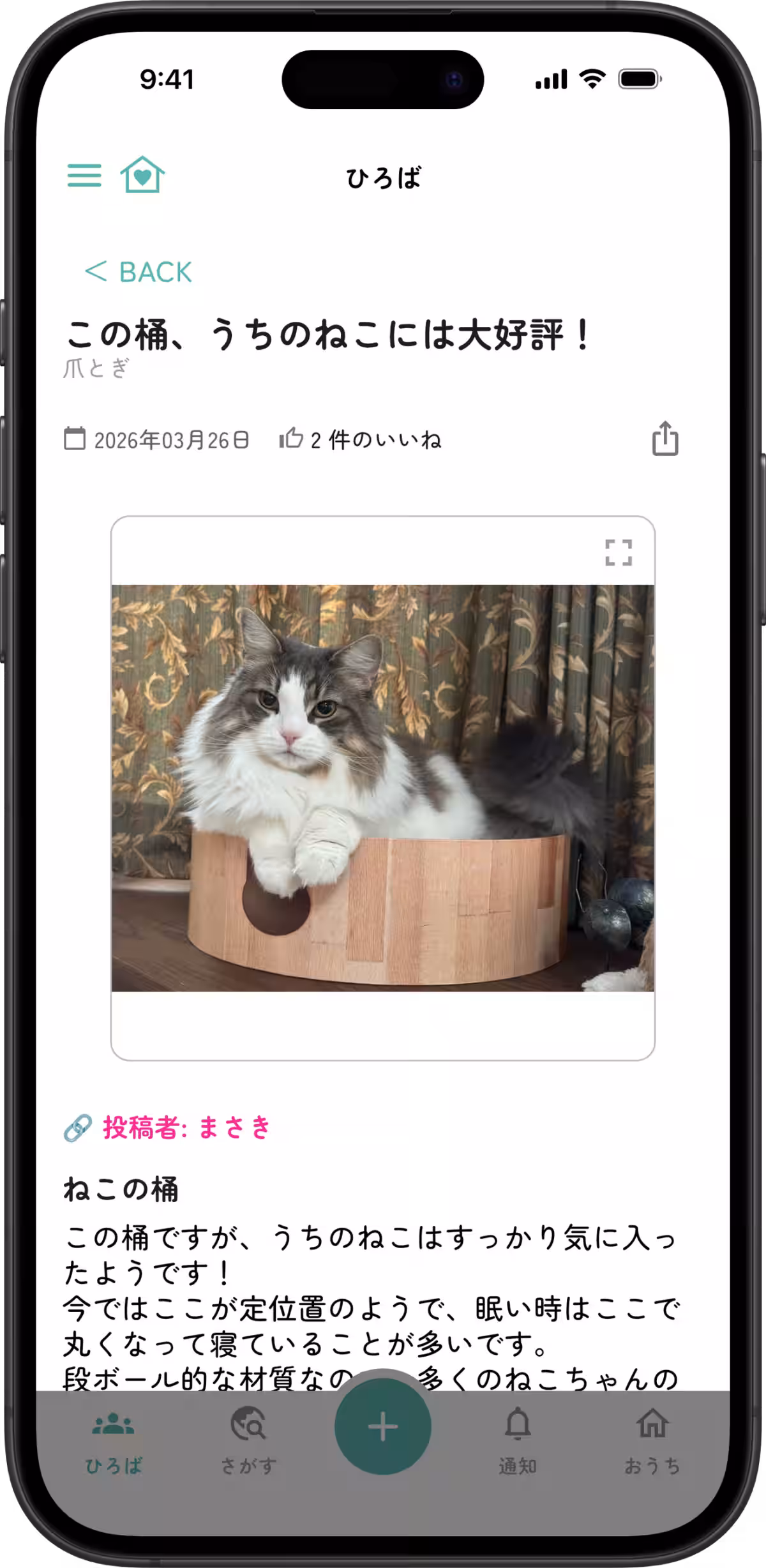 画像24