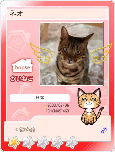 画像25
