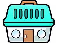 画像11