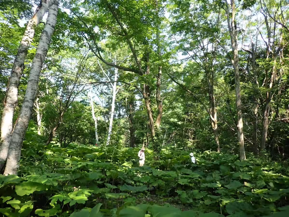 画像6