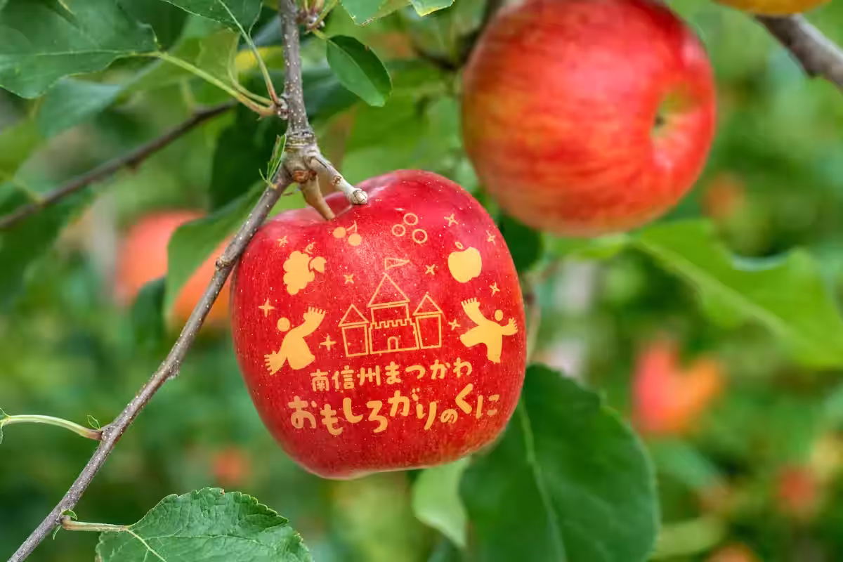 画像9