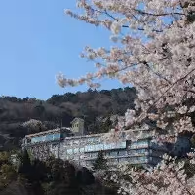 画像12