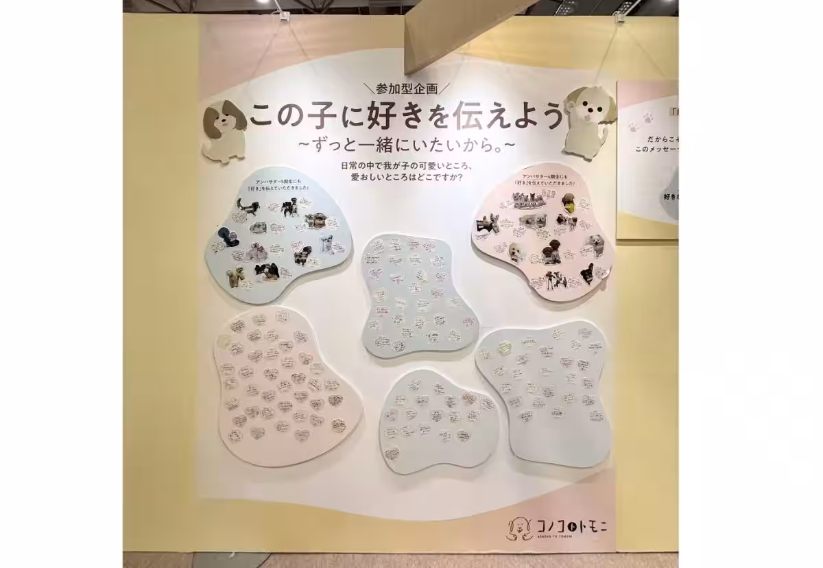 画像10