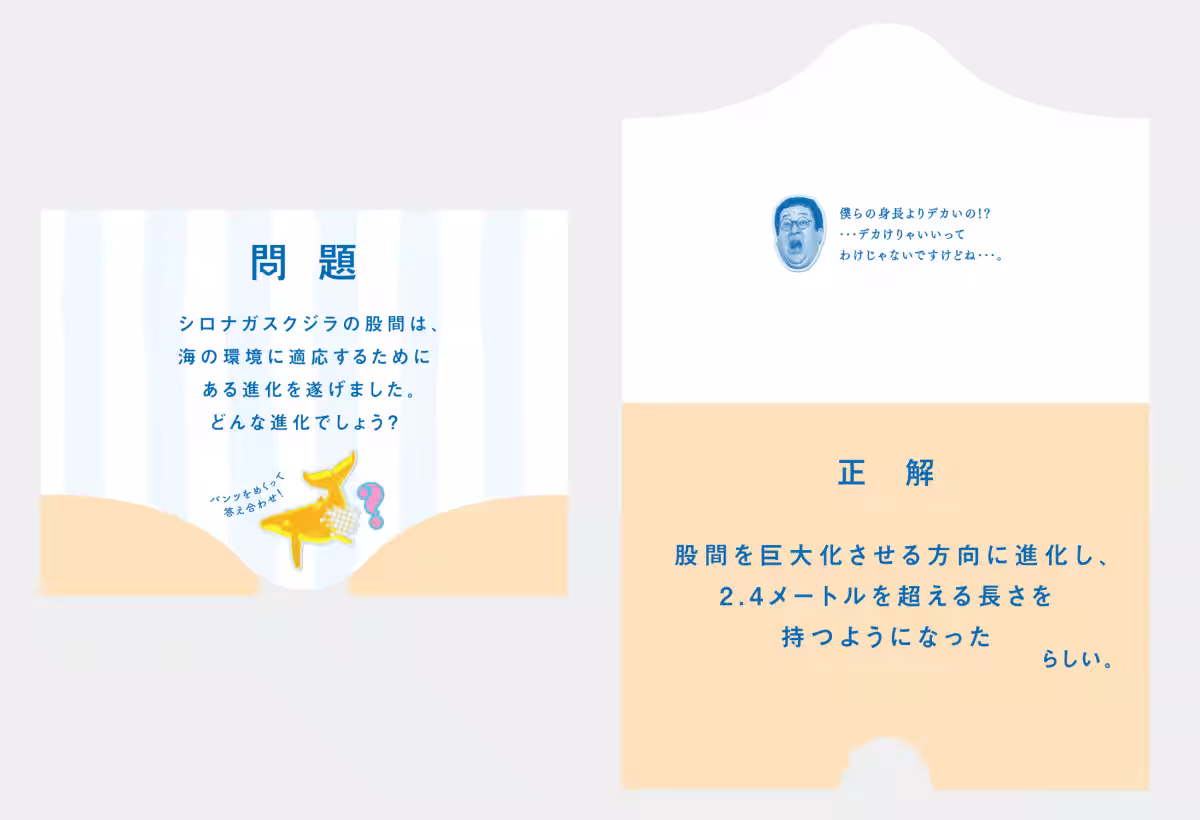 画像21